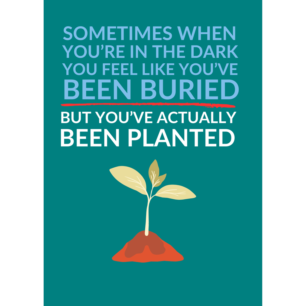 You Haven’t Been Buried – You’ve Been Planted – Encouragement Card