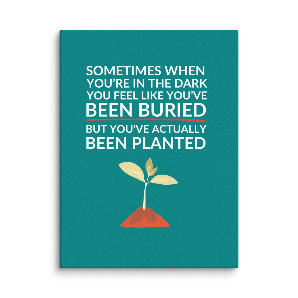 Been Planted – Growth In The Dark Canvas Print