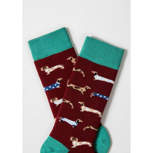 Dogs Burgundy - 100% Organic Cotton Socks